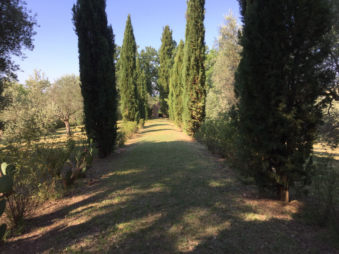 Viale alberato con la chieseta di Sant'Antonio di Padova