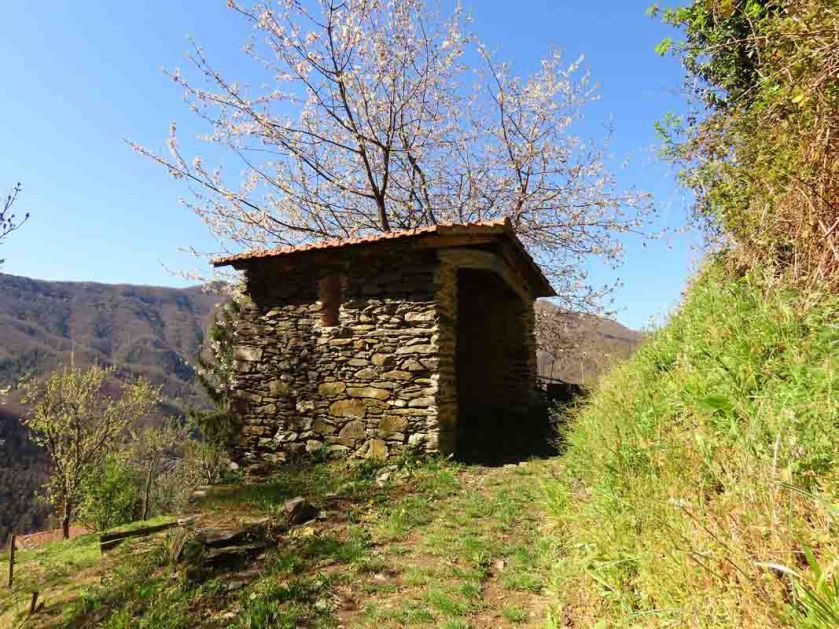 Sentiero dove ubicata la Maestà