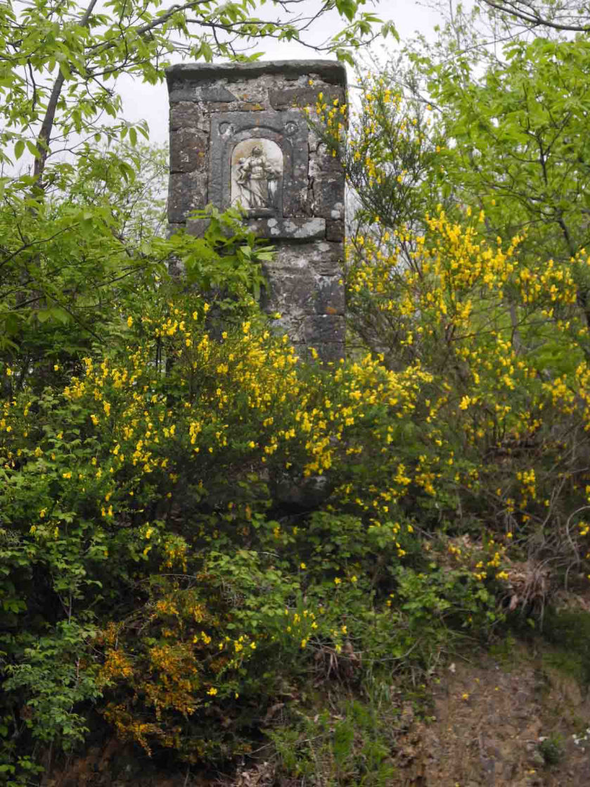 Maestà Madonna del Carmelo