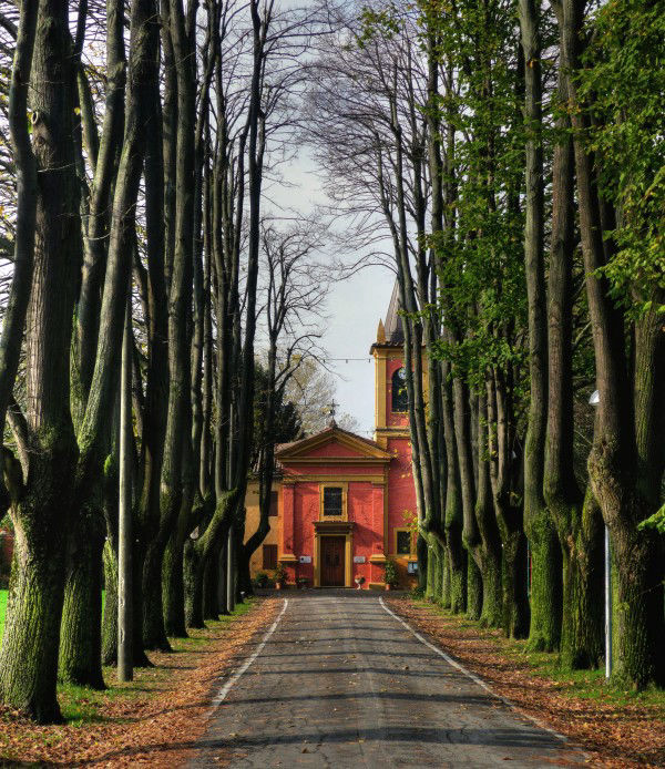 Foto Chiesa dal viale